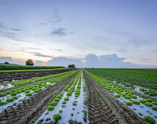 Wpływ globalnego ocieplenia na zasoby naturalne