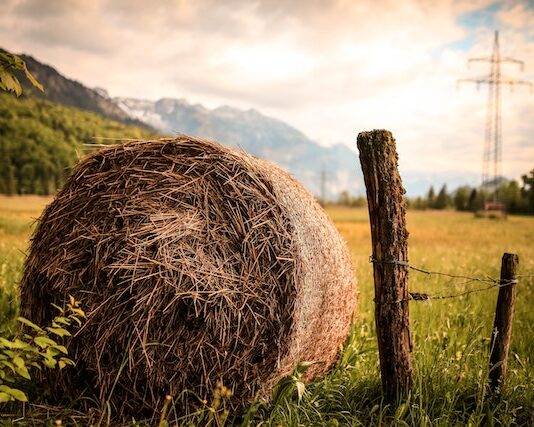 Biopaliwa a tradycyjne paliwa kopalne